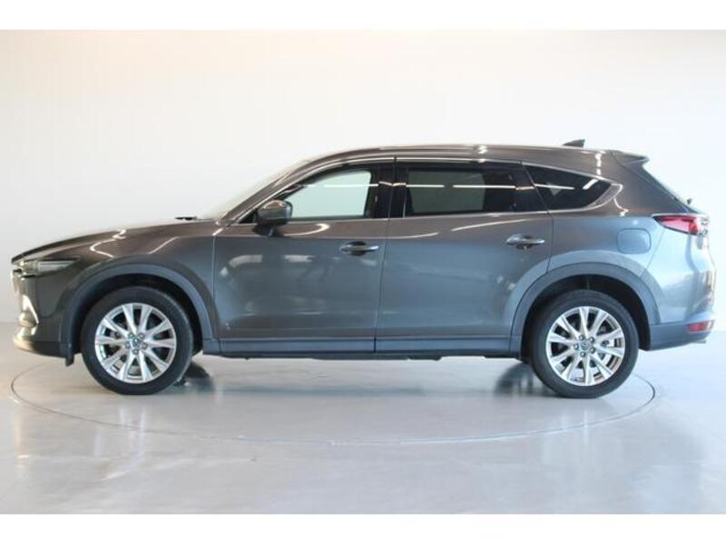 CX-8