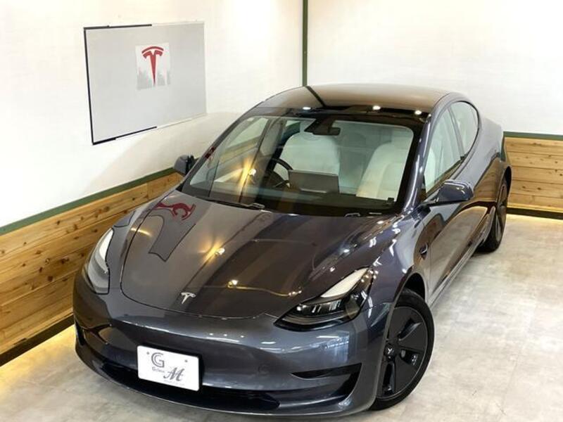 MODEL 3