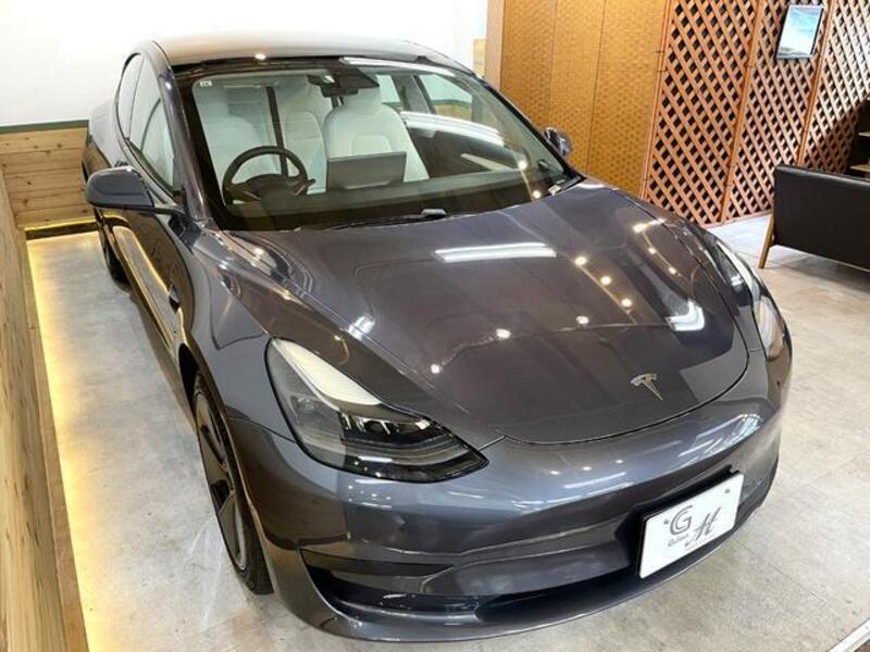 MODEL 3