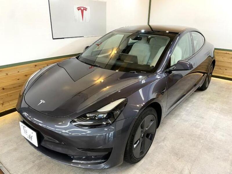 MODEL 3