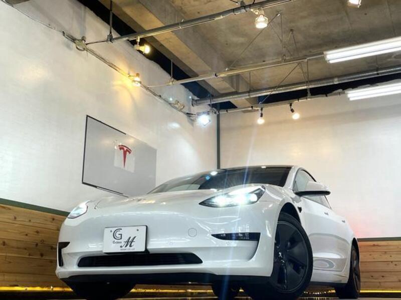 MODEL 3