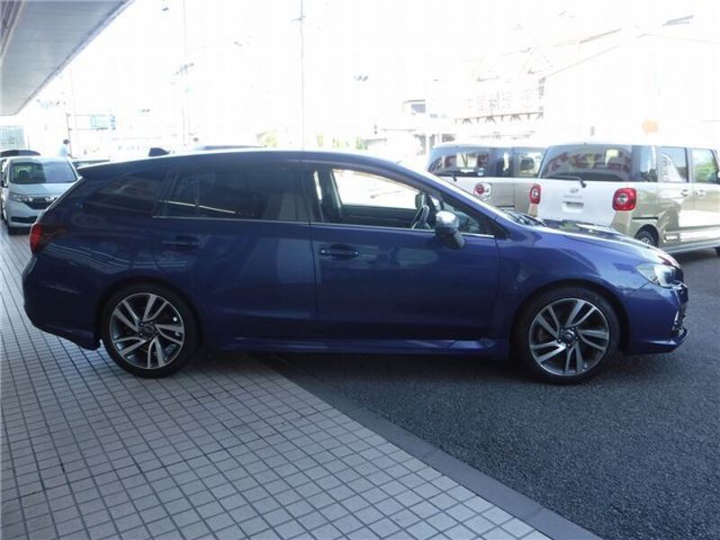 LEVORG