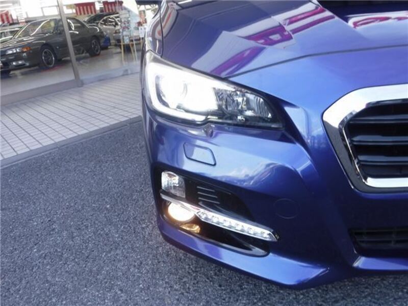 LEVORG