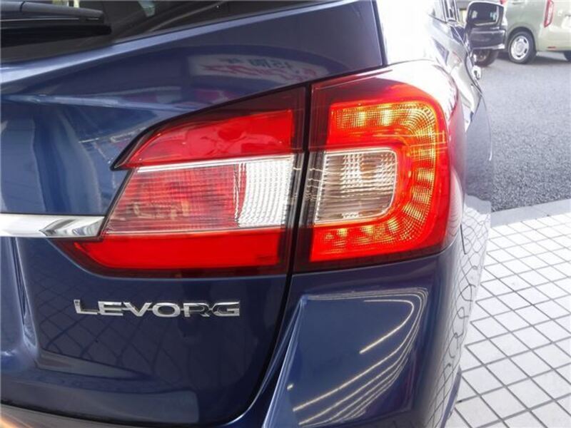 LEVORG