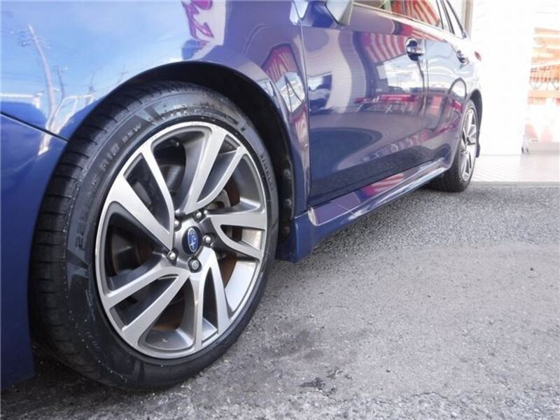 LEVORG
