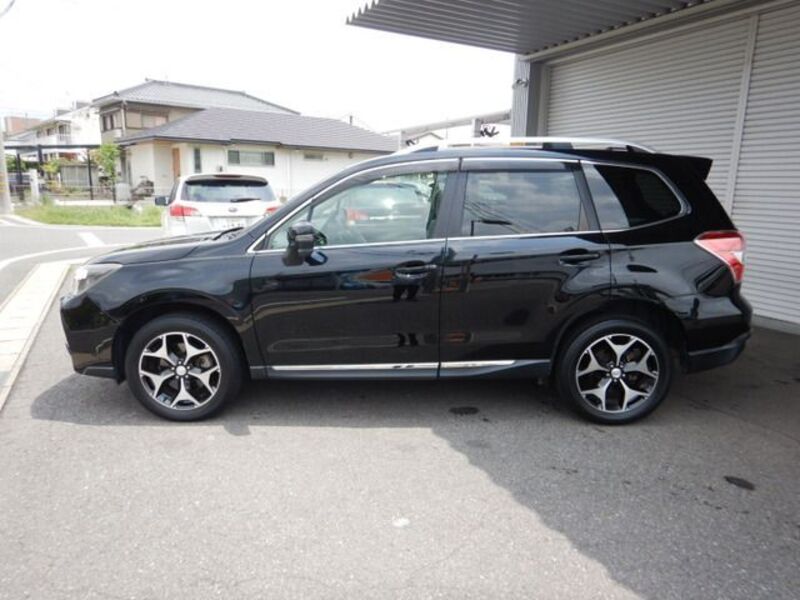 FORESTER