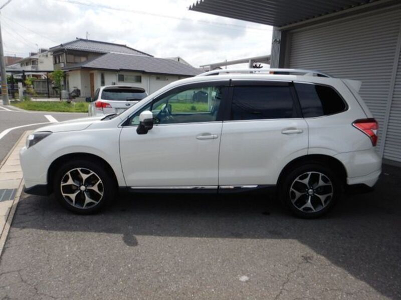 FORESTER