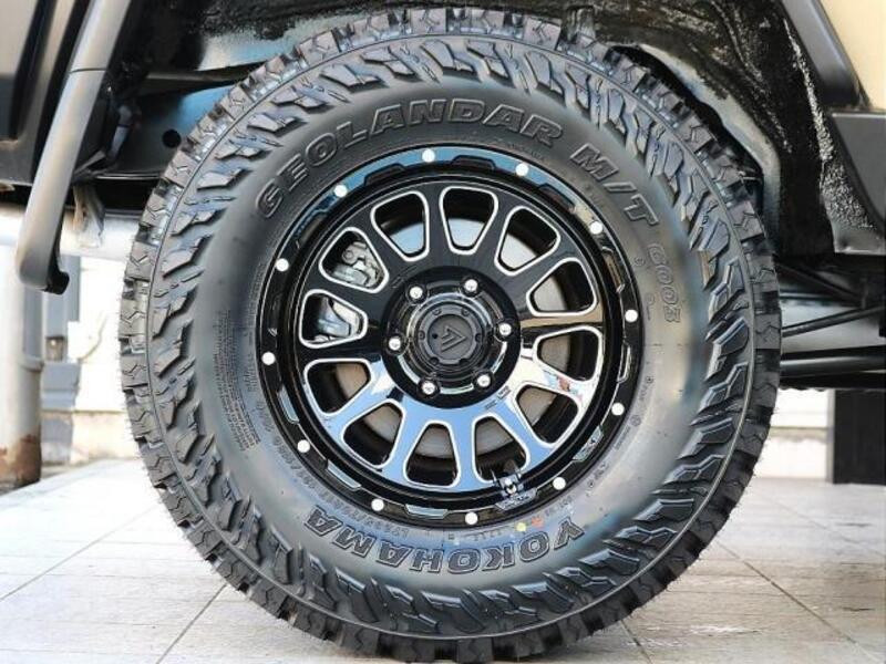 FJ CRUISER