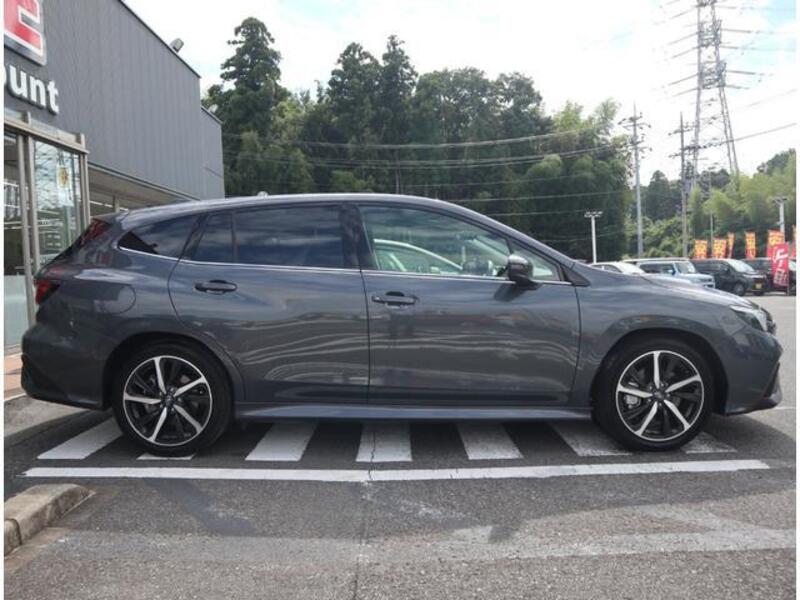 LEVORG