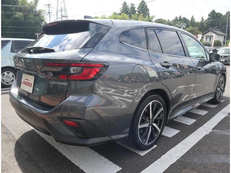 LEVORG