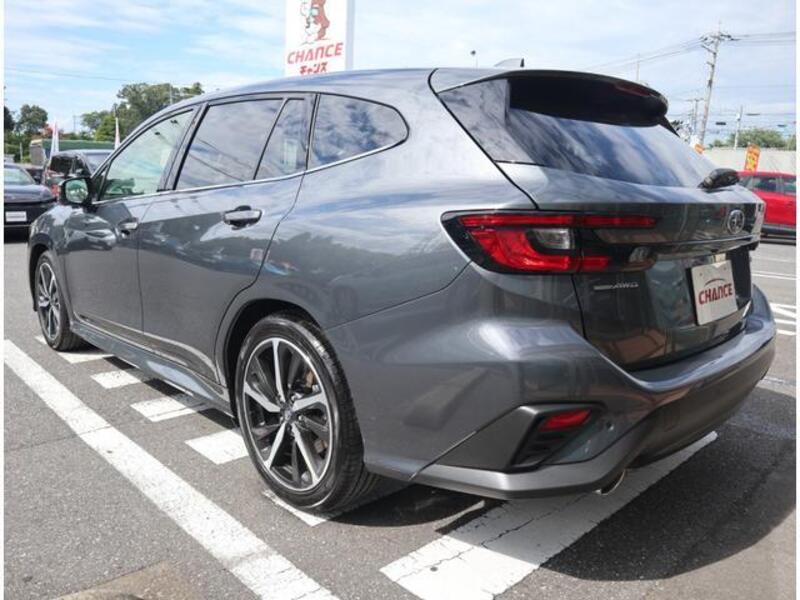 LEVORG