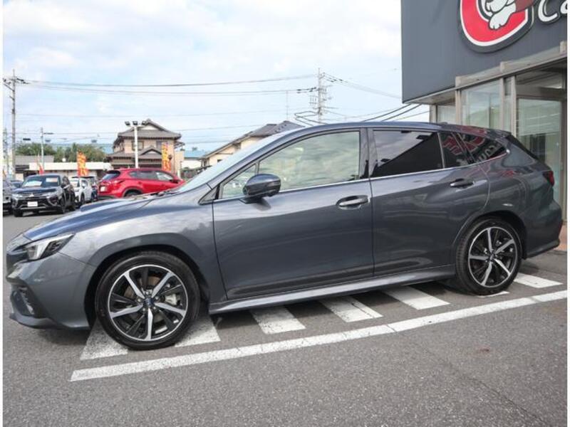 LEVORG