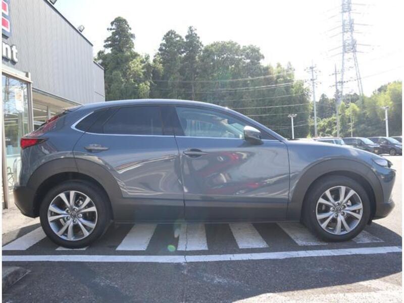 CX-30