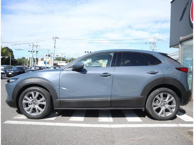 CX-30