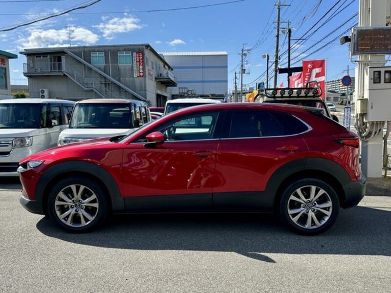 CX-30