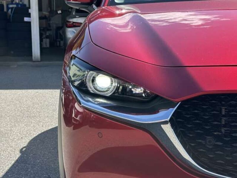 CX-30