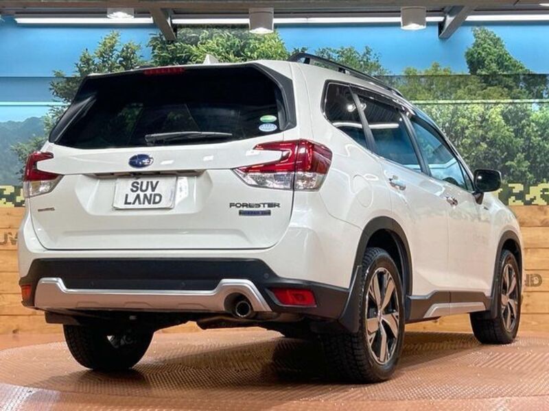 FORESTER