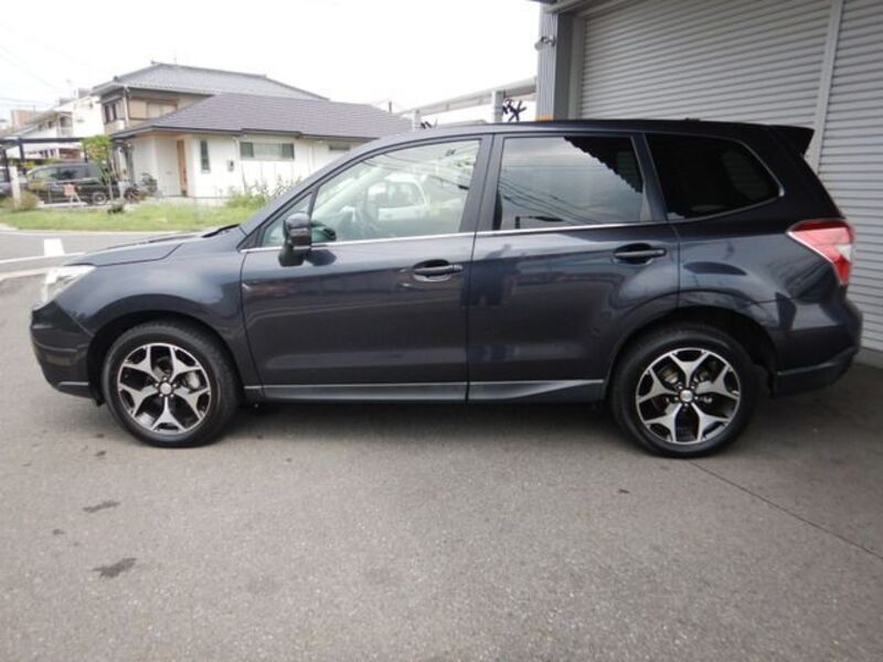FORESTER