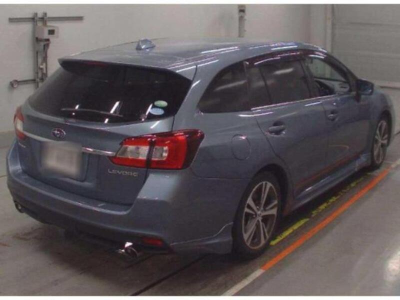 LEVORG