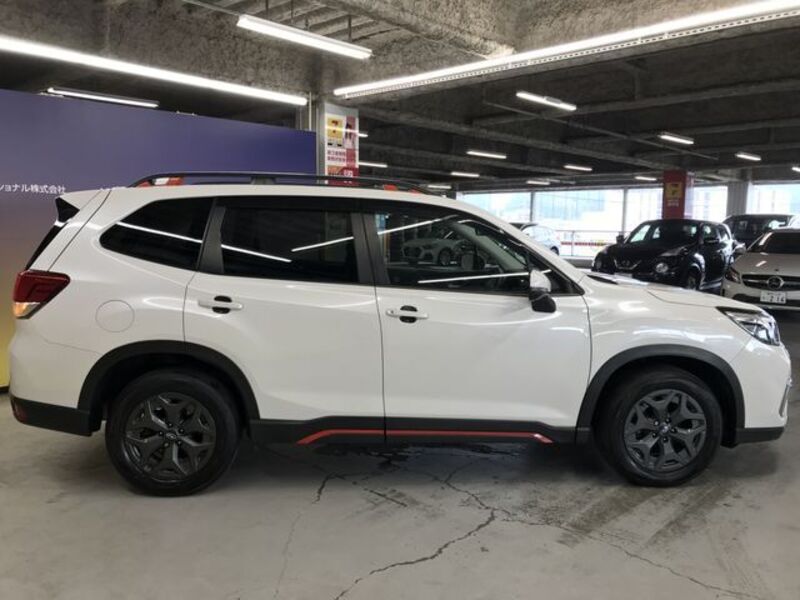 FORESTER