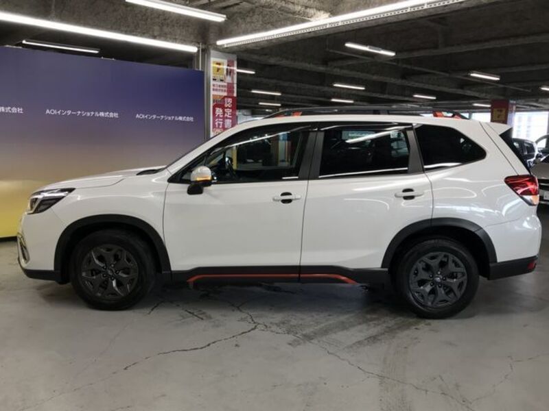 FORESTER