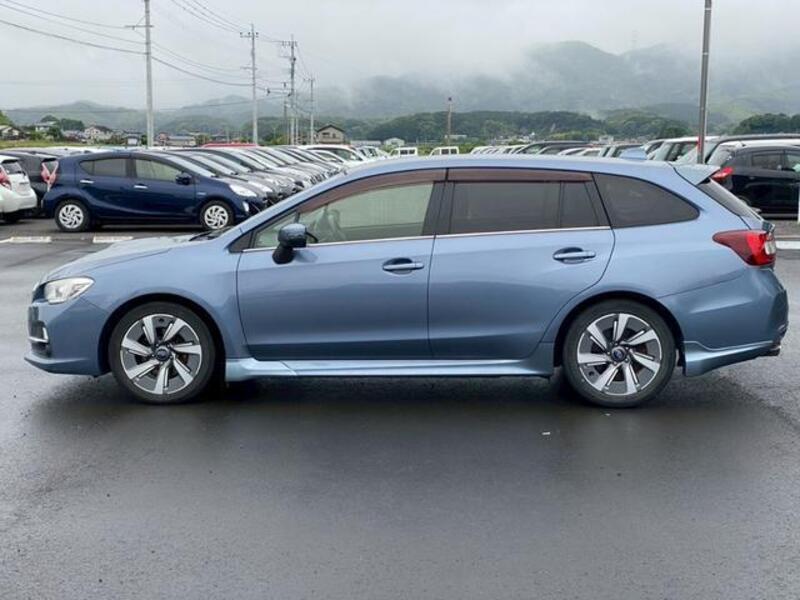 LEVORG