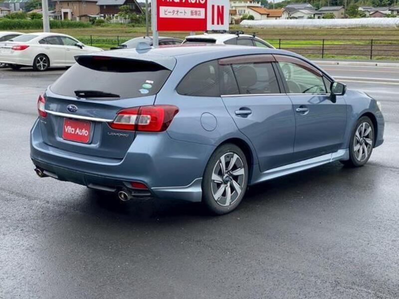 LEVORG