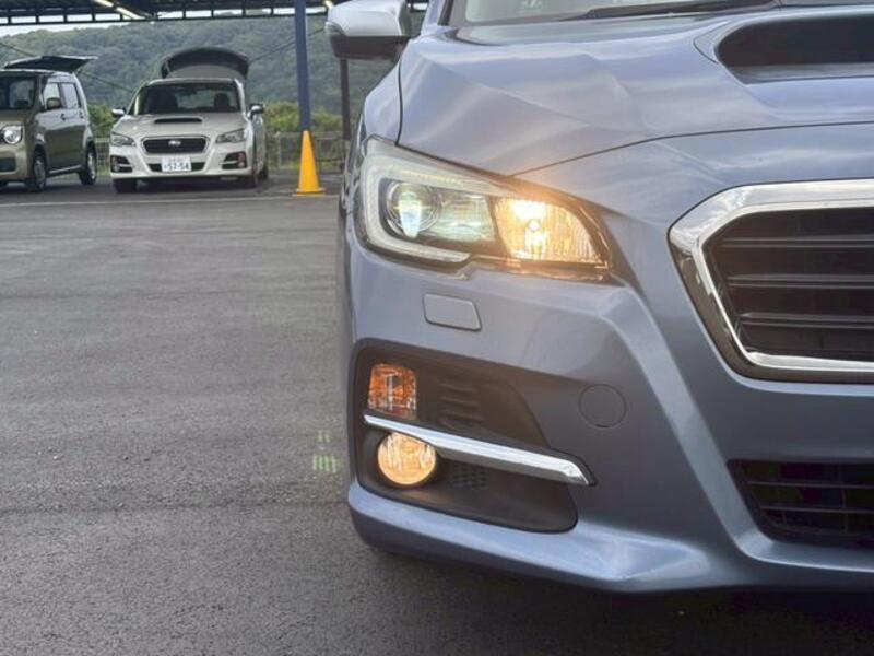LEVORG