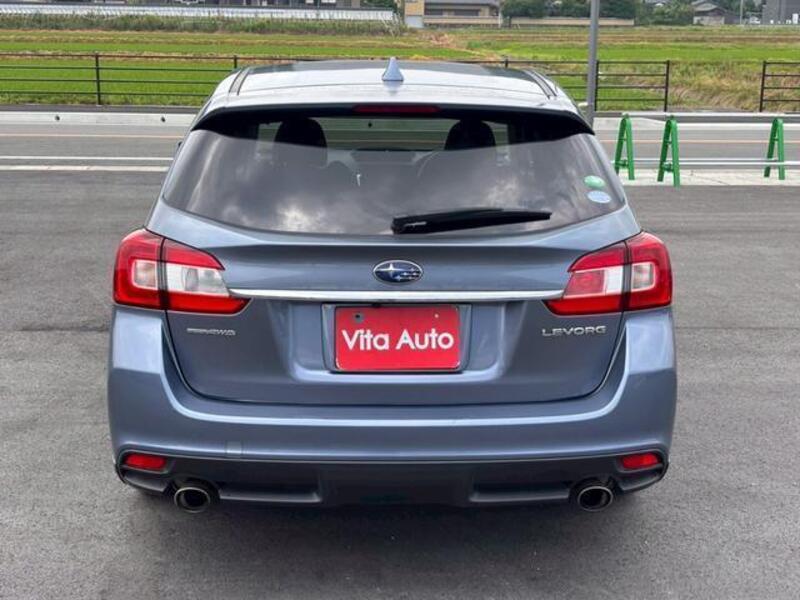 LEVORG