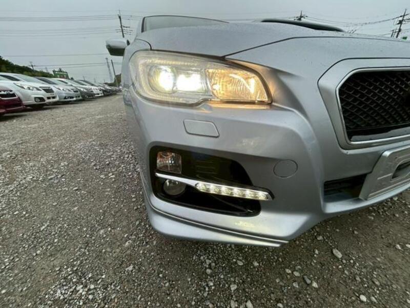 LEVORG