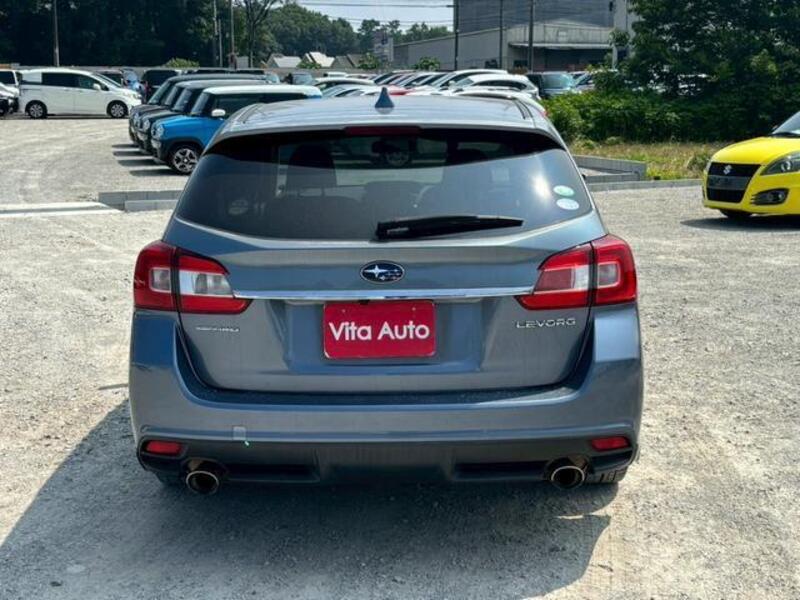 LEVORG