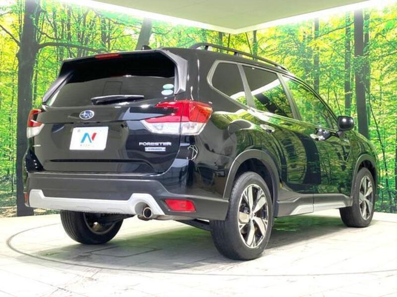 FORESTER