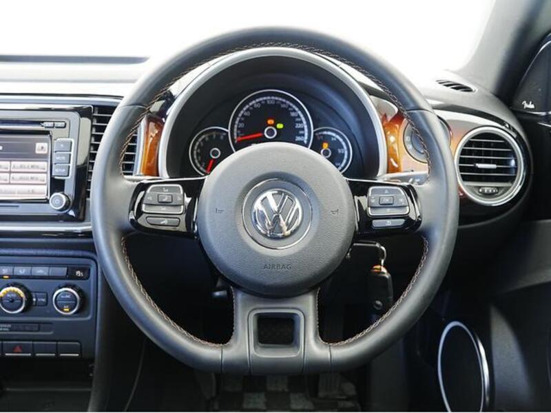 THE BEETLE