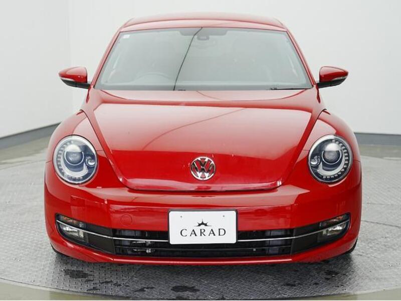 THE BEETLE