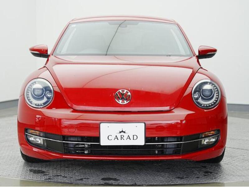 THE BEETLE