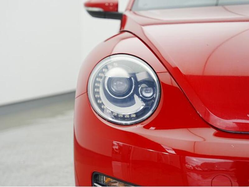 THE BEETLE