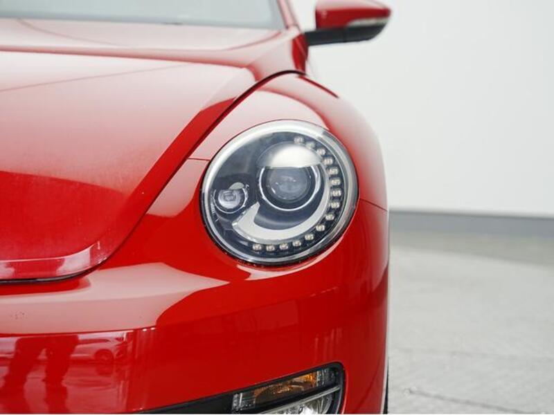 THE BEETLE