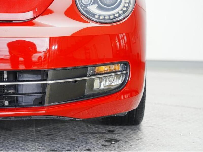 THE BEETLE