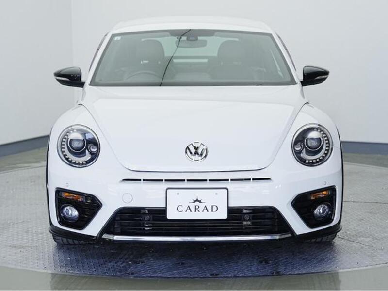 THE BEETLE