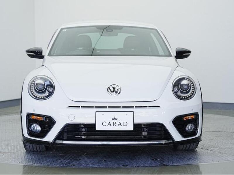 THE BEETLE