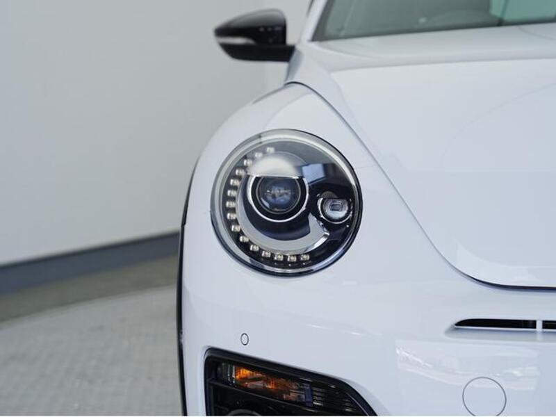 THE BEETLE