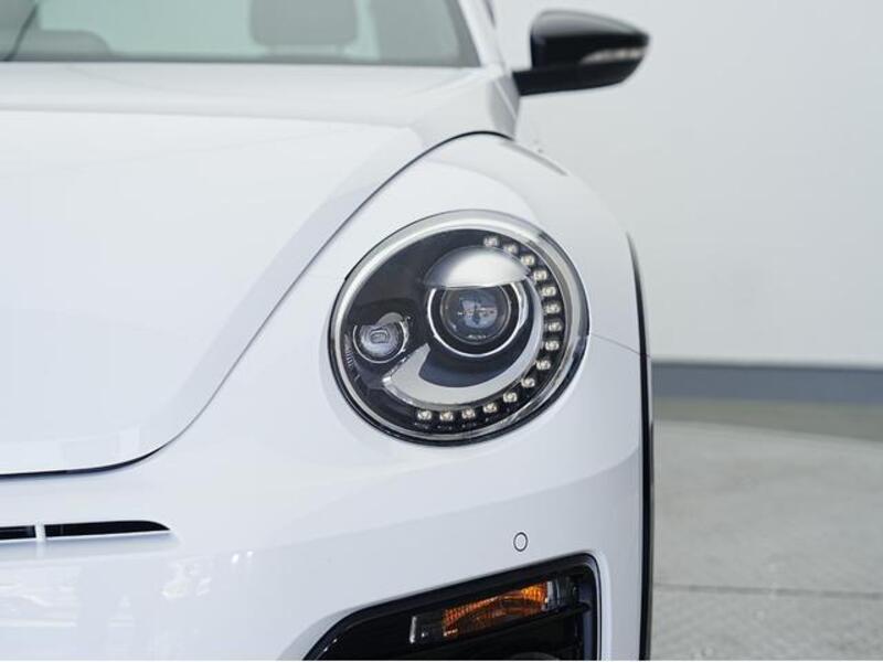 THE BEETLE