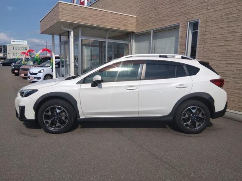 XV