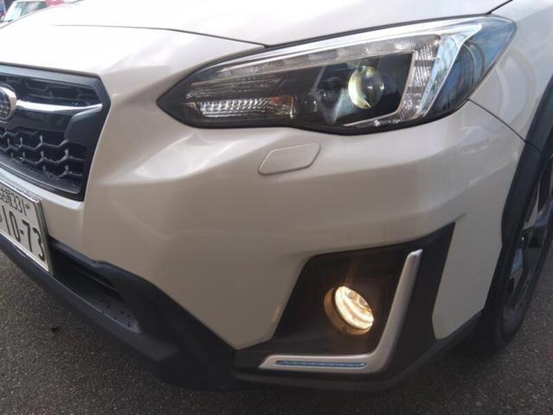 XV