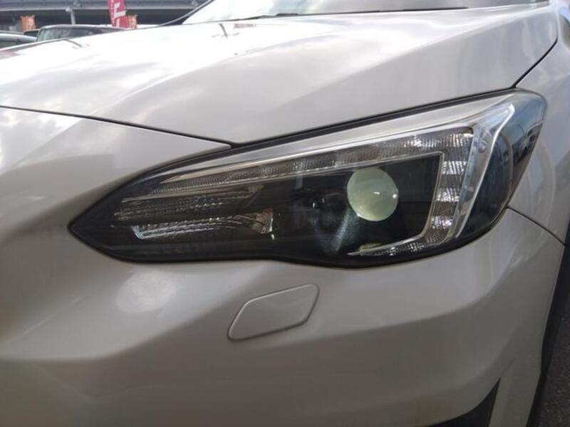 XV