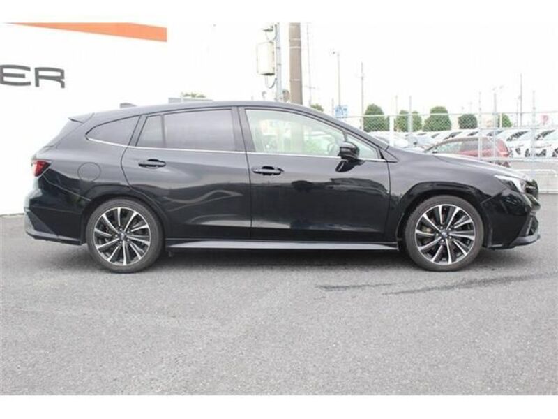 LEVORG
