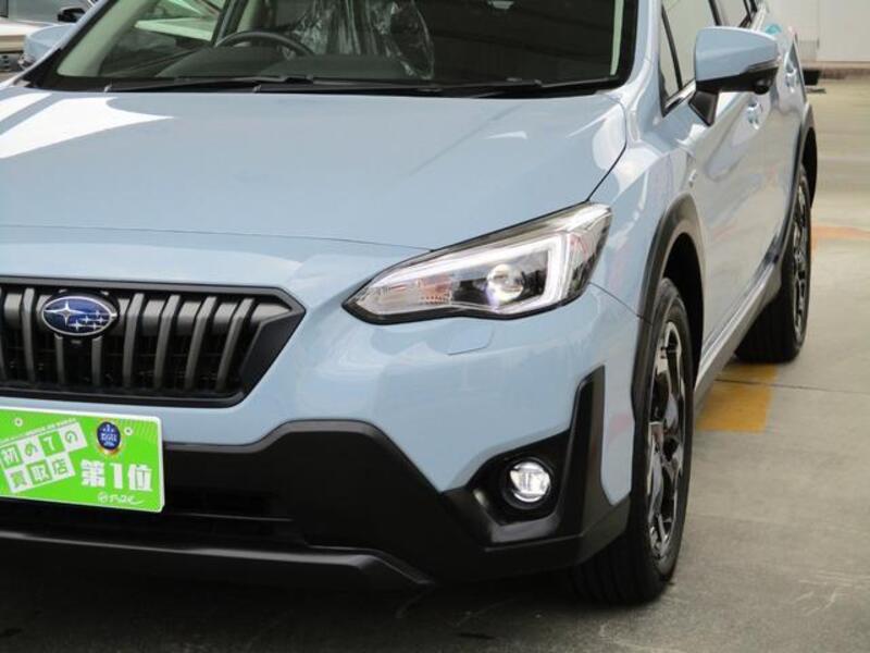 XV