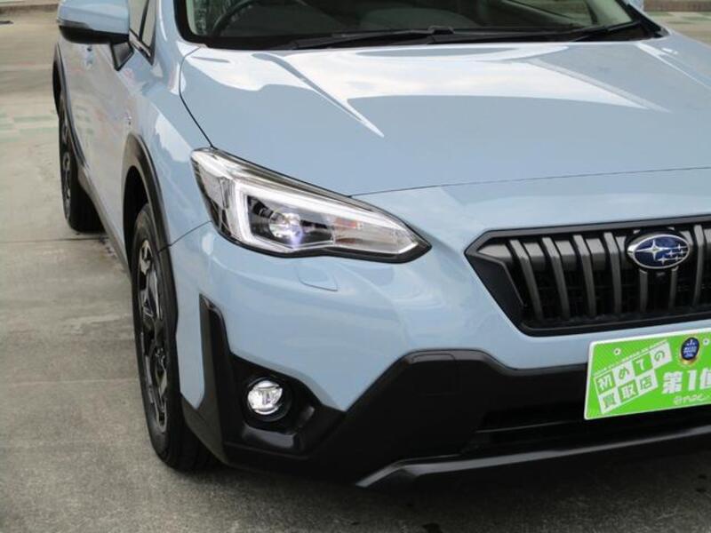 XV