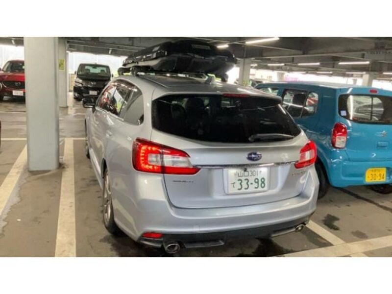 LEVORG
