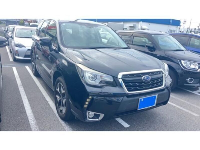 FORESTER-0